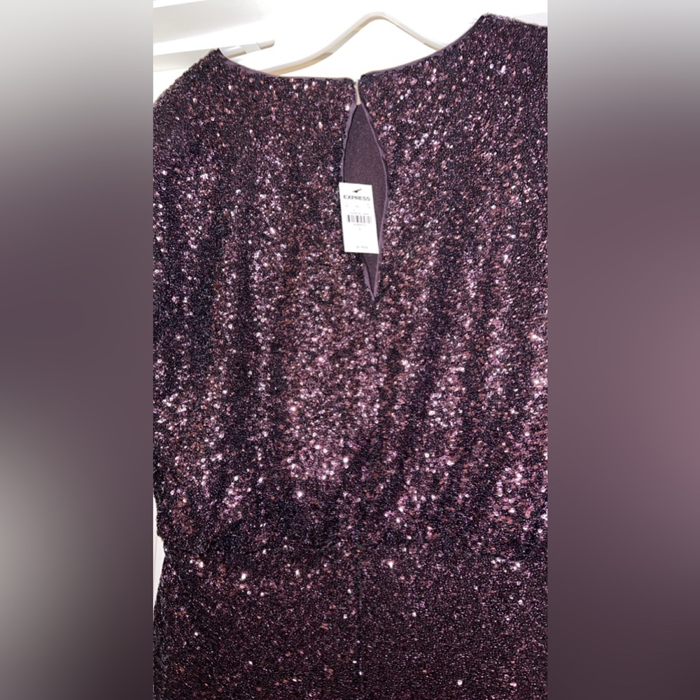 NWT Express Sequin Dress